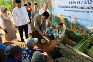 Read more about the article Sambut Hari Raya Idul Adha 1446 H, Unimus Sembelih 8 Ekor Sapi dan 15 Ekor Kambing