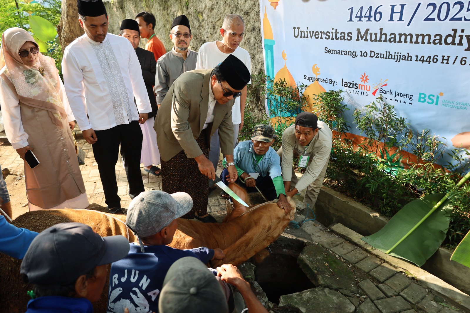 Read more about the article Sambut Hari Raya Idul Adha 1446 H, Unimus Sembelih 8 Ekor Sapi dan 15 Ekor Kambing