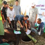 Unimus Sembelih Hewan Kurban Iduladha 1447 H, Perkuat Nilai Kepedulian dan Keimanan