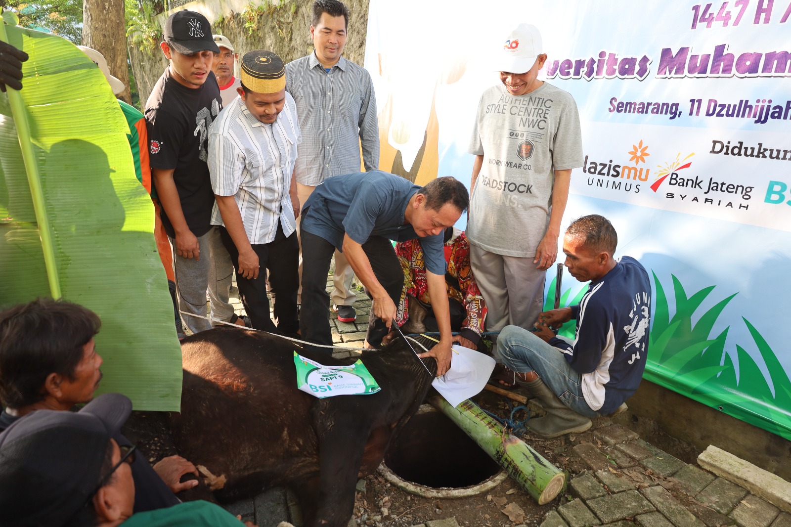 Read more about the article Unimus Sembelih Hewan Kurban Iduladha 1447 H, Perkuat Nilai Kepedulian dan Keimanan