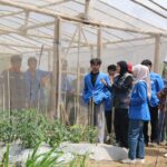 Tim PPK Ormawa HIMATIKRO UNIMUS Terima Kunjungan Visitasi Lapangan Program SMART GREENTASAN 2026 di Desa Getasan