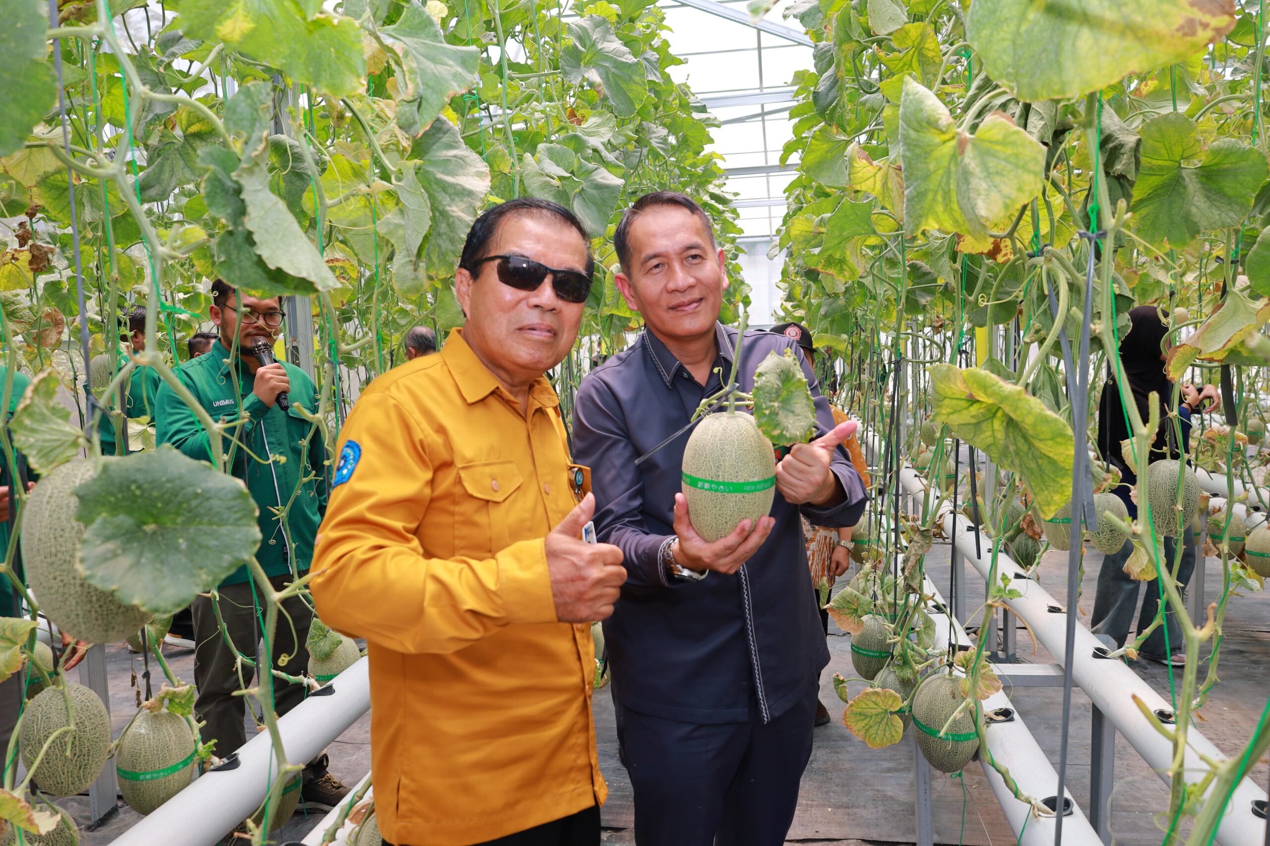 Read more about the article Kebun Kampus Berbuah Manis, UNIMUS Gelar Petik Melon Bersama Kepala LLDIKTI VI, Ketua PWM Jateng, dan Ketua Pengadilan Negeri Semarang